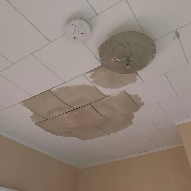Ceiling Water Damage Repair in Town Creek, AL