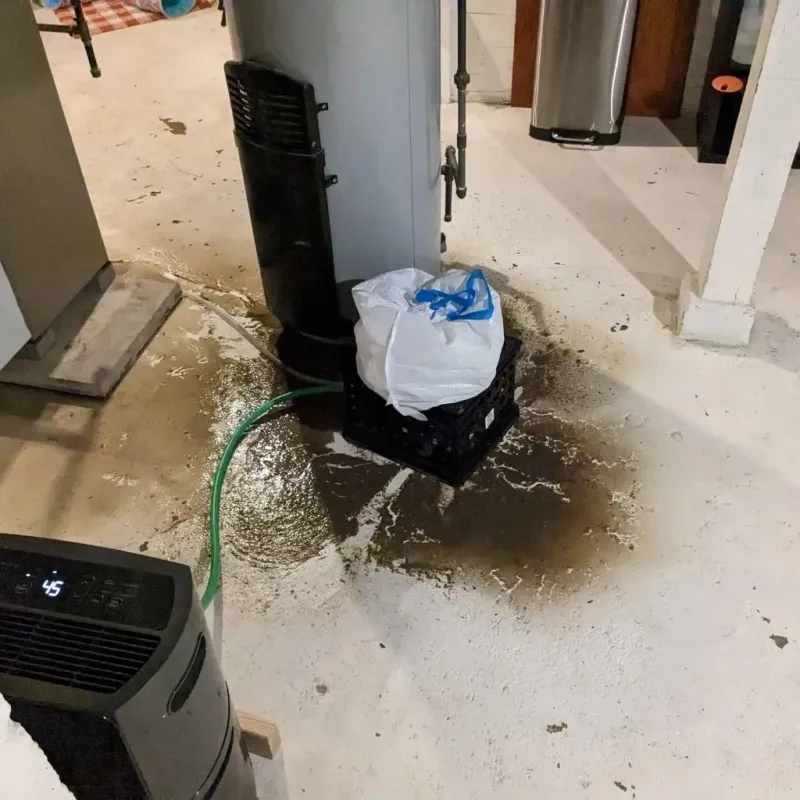 Sewage Backup Cleanup Service in Town Creek, AL